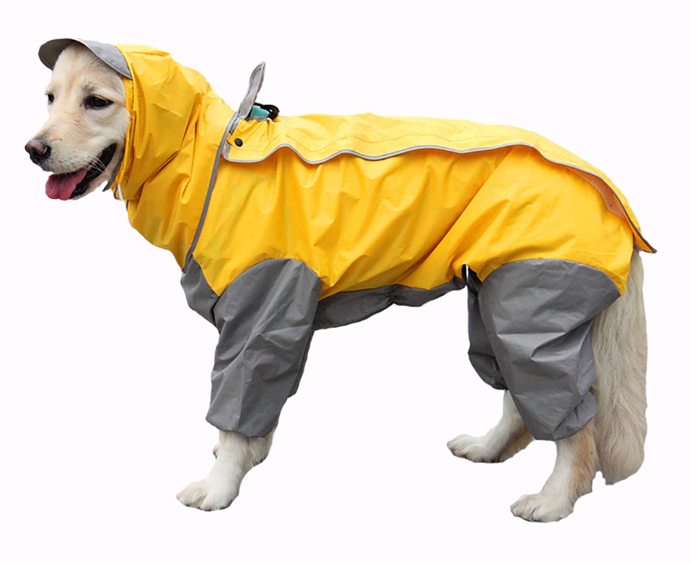 Facts On Dog Waterproof Onesie - ucluth